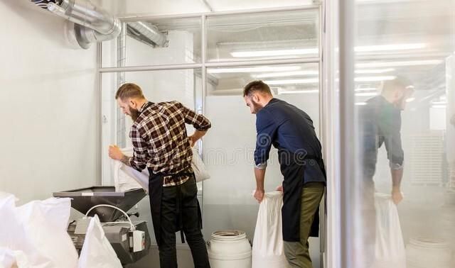 米面中的虫子从哪儿来的,该如何预防呢图2