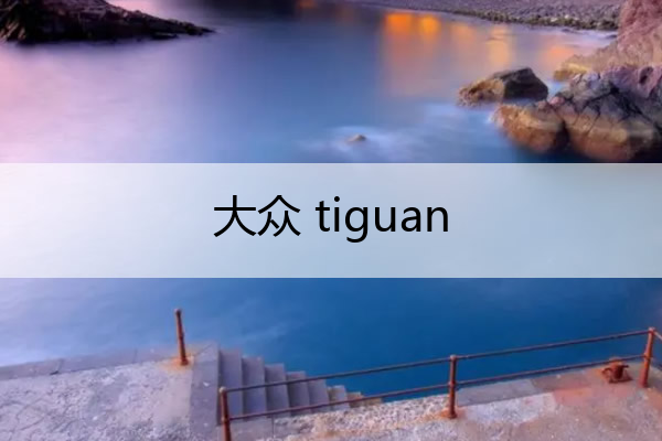 大众 tiguan 大众tiguanl330tsi价格及图片