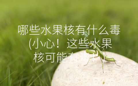 哪些水果核有什么毒 (小心！这些水果核可能有毒！)