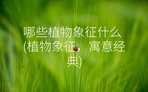 哪些植物象征什么 (植物象征，寓意经典)