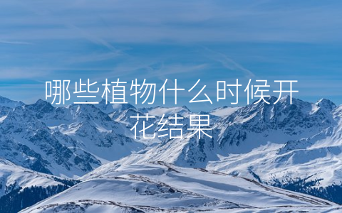 哪些植物什么时候开花结果