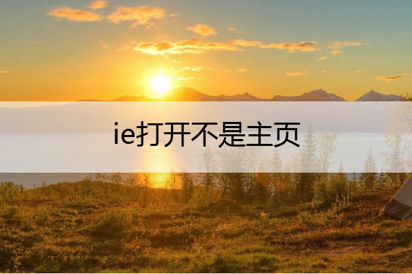 ie打开不是主页 ie打开不是主页 还需要点击主页图标