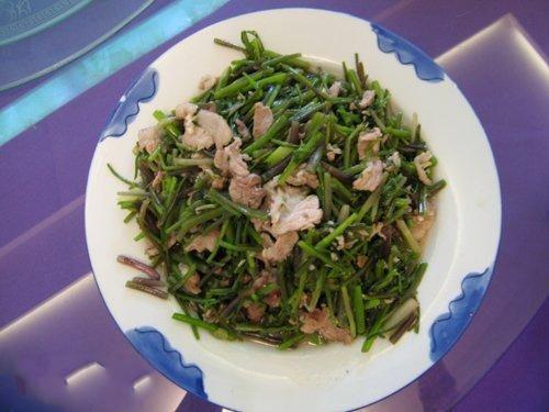 东北山上宝贝真不少!它也叫芹菜却比芹菜美味!满满都是儿时记忆 狗蛋儿_农门娇女 萧儿美蛋_洛克王国艾莉儿蛋