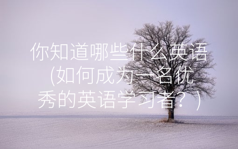 你知道哪些什么英语 (如何成为一名优秀的英语学习者？)