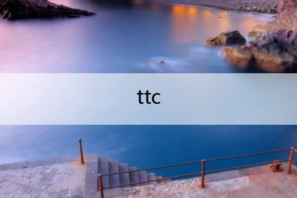 ttc ttc轴