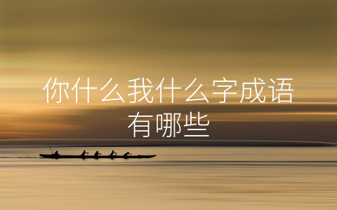 你什么我什么字成语有哪些