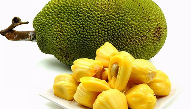 菠萝蜜怎么判断熟没熟(菠萝蜜的最佳成熟时间)图2