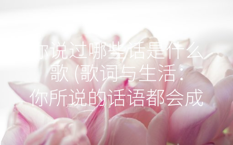 你说过哪些话是什么歌 (歌词与生活：你所说的话语都会成为一首名曲)