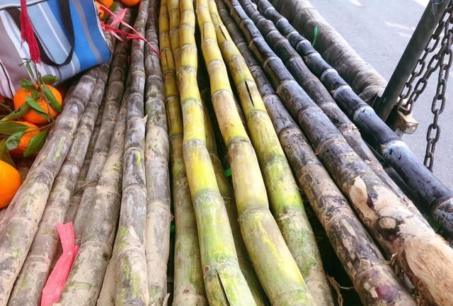 甘蔗别只啃着吃,冬日里做成4碗汤水,好喝又润燥,附挑选保存法图3