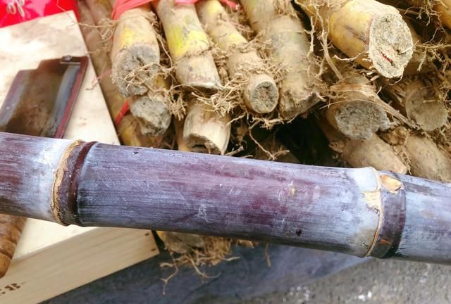 甘蔗别只啃着吃,冬日里做成4碗汤水,好喝又润燥,附挑选保存法图4