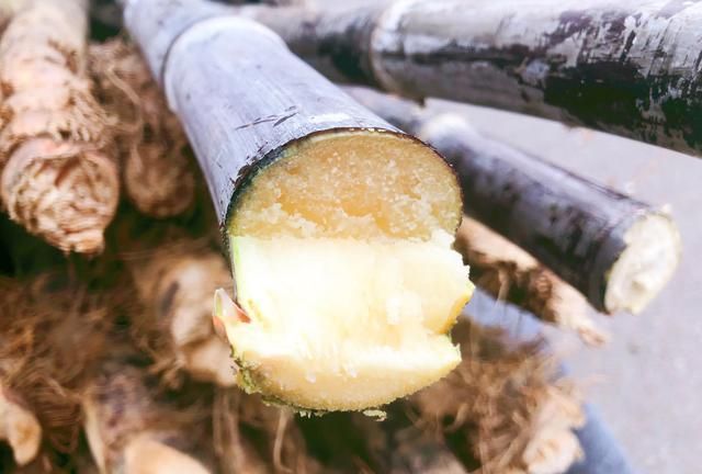 甘蔗别只啃着吃,冬日里做成4碗汤水,好喝又润燥,附挑选保存法图7