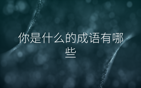 你是什么的成语有哪些