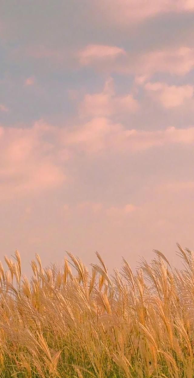 成龙主演电影警察故事1 youtube上老外评论成龙警察故事