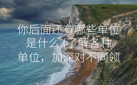 你后面还有哪些单位是什么 (了解各种单位，加深对不同领域的认识和理解)