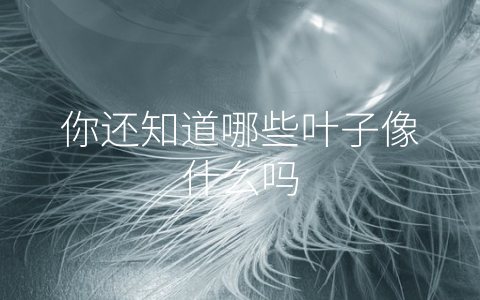 你还知道哪些叶子像什么吗