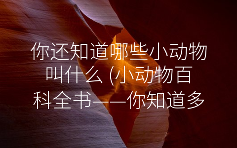 你还知道哪些小动物叫什么 (小动物百科全书——你知道多少种小动物的叫名？)