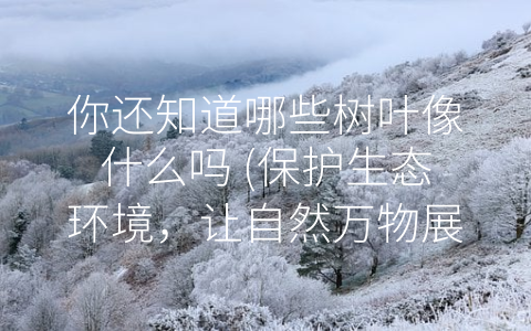 你还知道哪些树叶像什么吗 (保护生态环境，让自然万物展现丰富性)