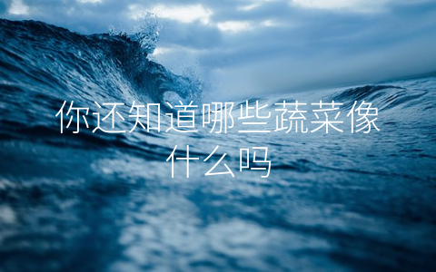 你还知道哪些蔬菜像什么吗