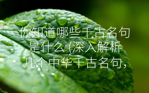 你知道哪些千古名句是什么 (深入解析几个中华千古名句，赏析传世佳作)