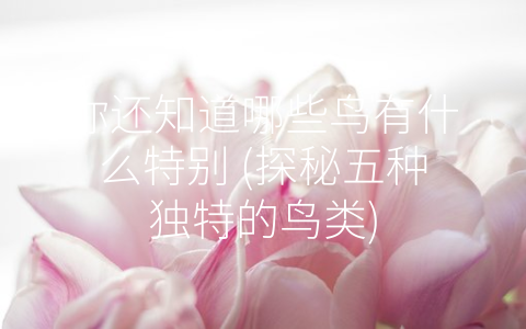 你还知道哪些鸟有什么特别 (探秘五种独特的鸟类)