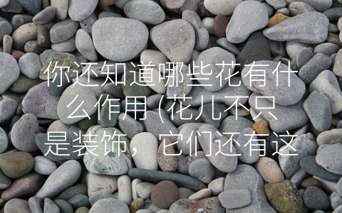 你还知道哪些花有什么作用 (花儿不只是装饰，它们还有这些-隐形”的作用！)