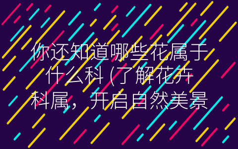 你还知道哪些花属于什么科 (了解花卉科属，开启自然美景之旅)
