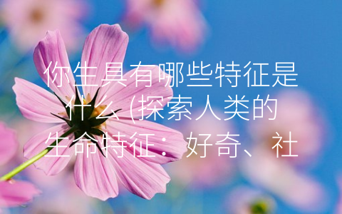 你生具有哪些特征是什么 (探索人类的生命特征：好奇、社交、适应和感性。)