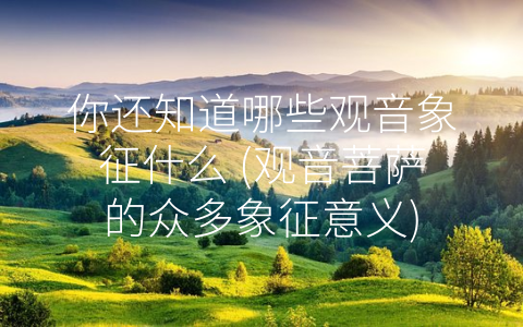 你还知道哪些观音象征什么 (观音菩萨的众多象征意义)