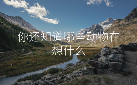 你还知道哪些动物在想什么