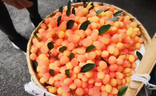 金西梅是什么水果金西梅能吃吗