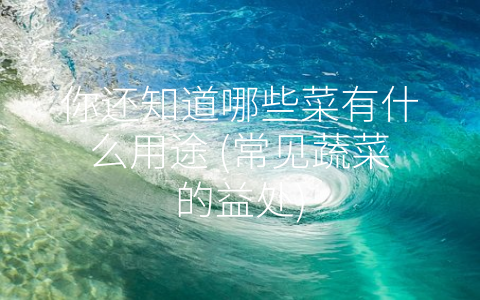 你还知道哪些菜有什么用途 (常见蔬菜的益处)