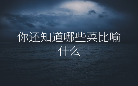 你还知道哪些菜比喻什么