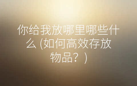你给我放哪里哪些什么 (如何高效存放物品？)