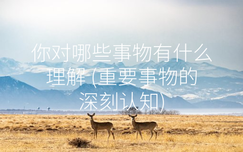 你对哪些事物有什么理解 (重要事物的深刻认知)