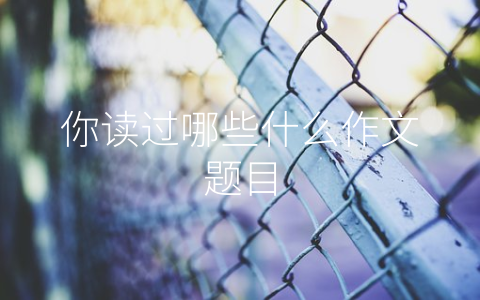 你读过哪些什么作文题目