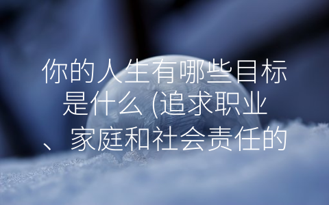 你的人生有哪些目标是什么 (追求职业、家庭和社会责任的平衡生活)
