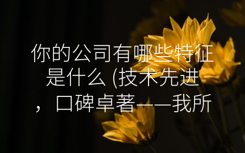 你的公司有哪些特征是什么 (技术先进，口碑卓著——我所在公司的特征及其优势)