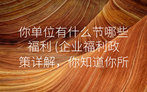 你单位有什么节哪些福利 (企业福利政策详解，你知道你所在公司的福利待遇吗？)