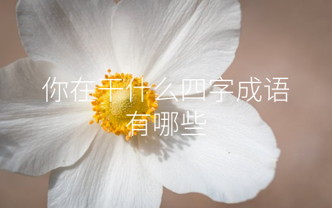你在干什么四字成语有哪些