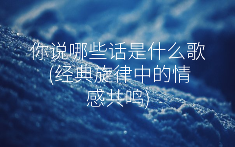 你说哪些话是什么歌 (经典旋律中的情感共鸣)