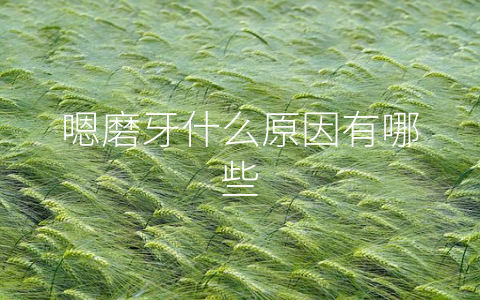 嗯磨牙什么原因有哪些