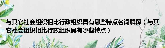 与其它社会组织相比行政组织具有哪些特点名词解释 与其它社会组织相比行政组织具有哪些特点