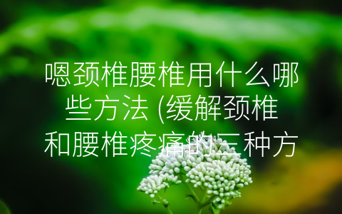 嗯颈椎腰椎用什么哪些方法 (缓解颈椎和腰椎疼痛的三种方法)