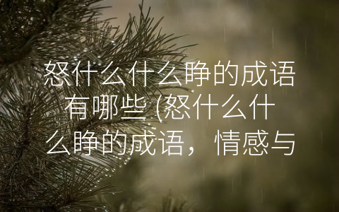 怒什么什么睁的成语有哪些 (怒什么什么睁的成语，情感与文化的传承)