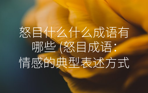 怒目什么什么成语有哪些 (怒目成语：情感的典型表述方式)