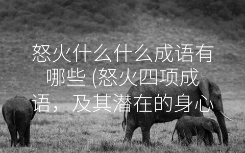 怒火什么什么成语有哪些 (怒火四项成语，及其潜在的身心危害)
