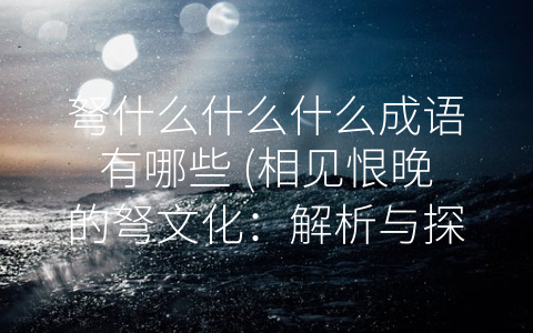 弩什么什么什么成语有哪些 (相见恨晚的弩文化：解析与探究与-弩”相关的成语)