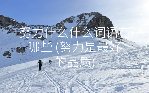 努力什么什么词语有哪些 (努力是最好的品质)