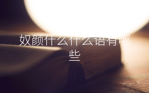 奴颜什么什么语有哪些