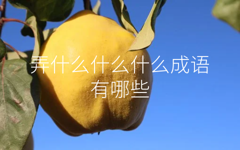 弄什么什么什么成语有哪些